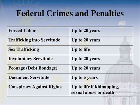 federal offenses and penalties.